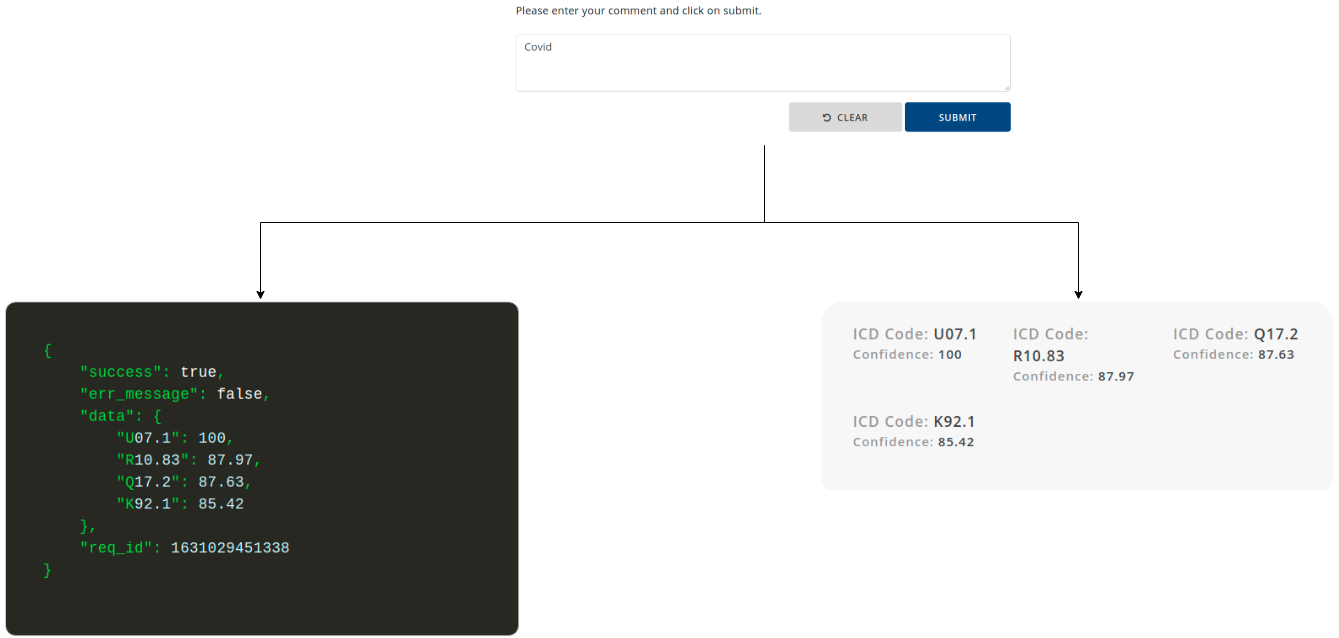 Output flow of ICD Classification API